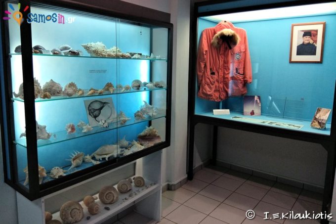 Exhibits of Marine Life department