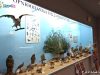 Exhibits of Zoological department 