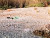 Beach Agios Ioannis Eleimonas