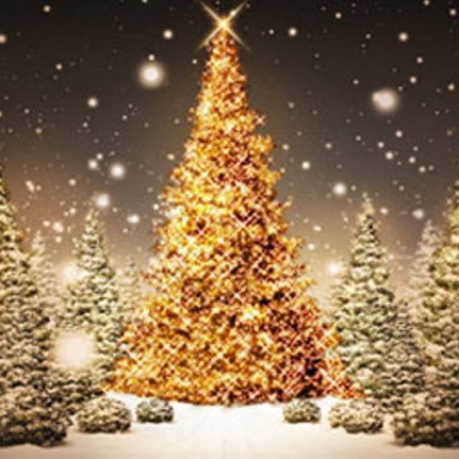 Illuminating the Christmas tree at Karlovasi city